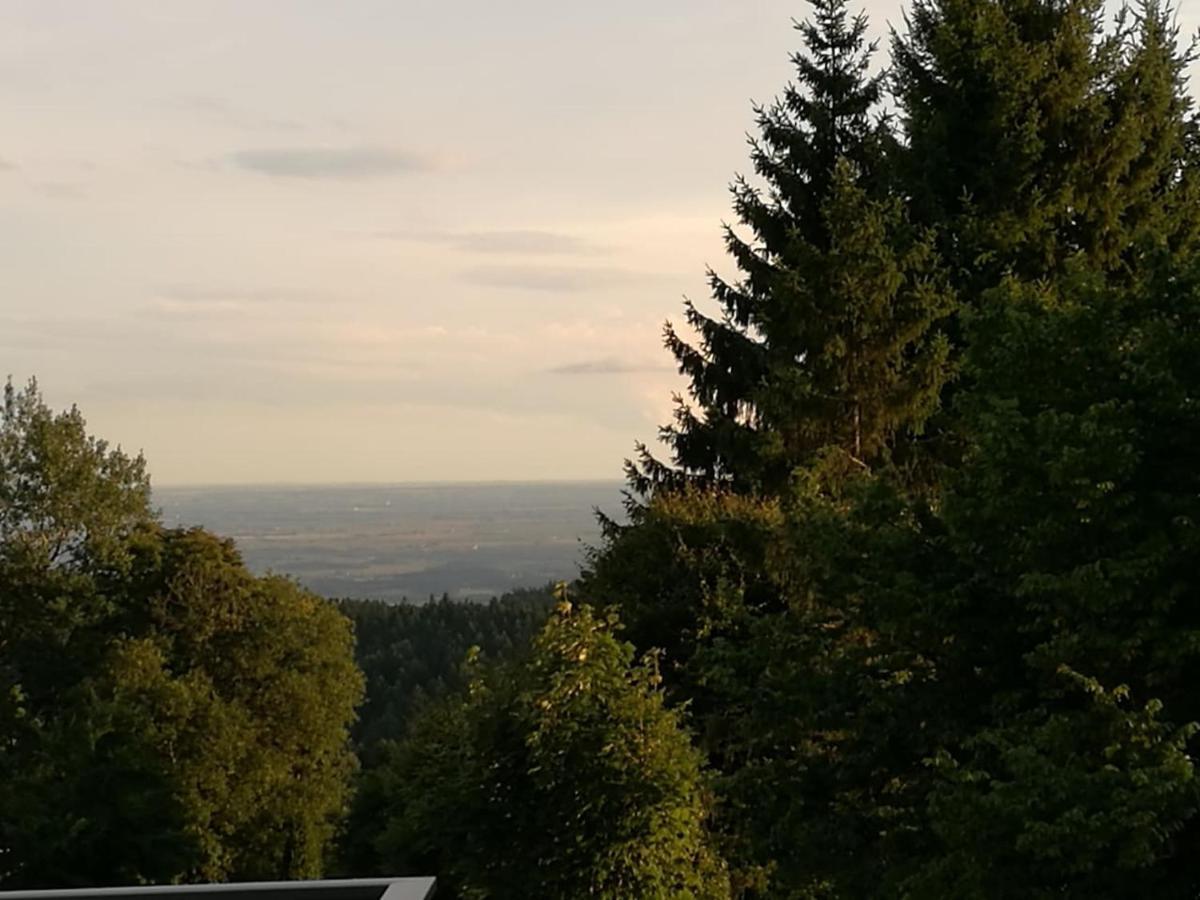 Top Appartment Mit Weitblick Und Late Check-Out Inklusive Aktivcard سانكت انجلمار المظهر الخارجي الصورة